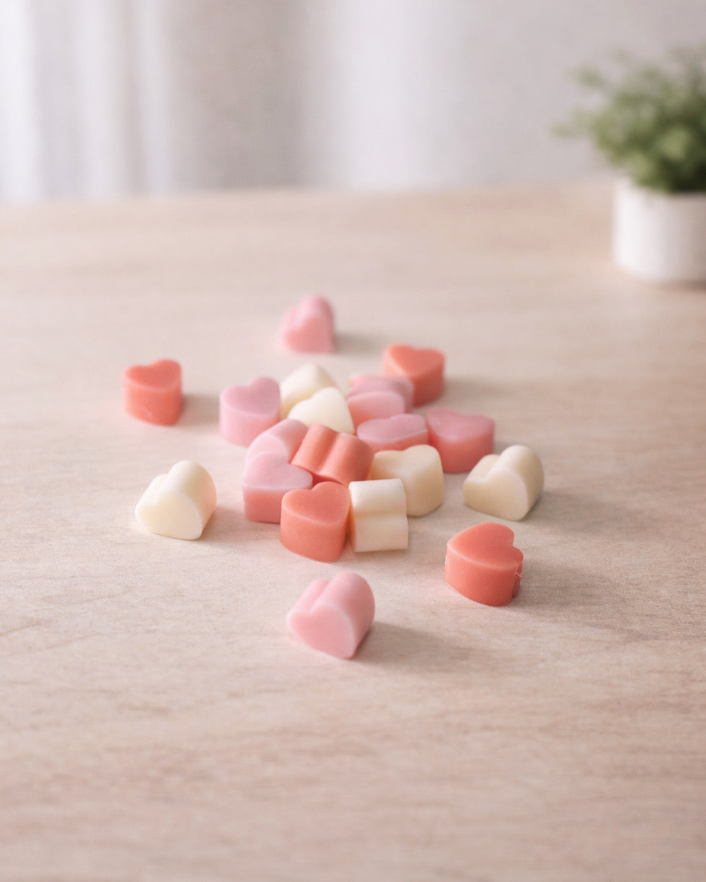 Wax melts Bella Vida