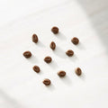 Wax melts Capuchino